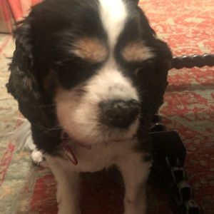 Meet your Posher, Martha